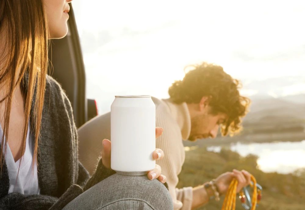 portable cool box fridge